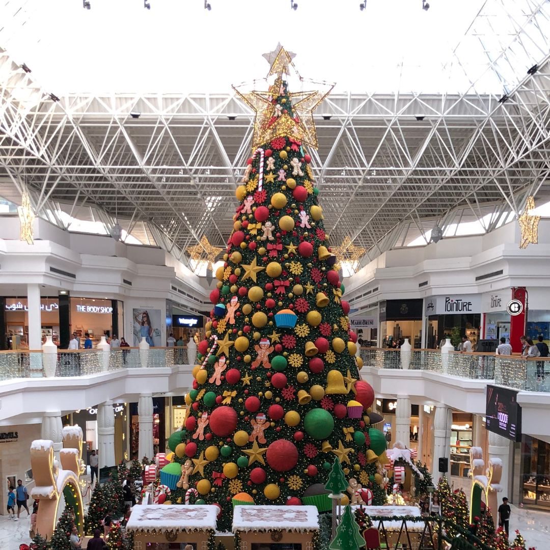 Sequoia: Results for 2023