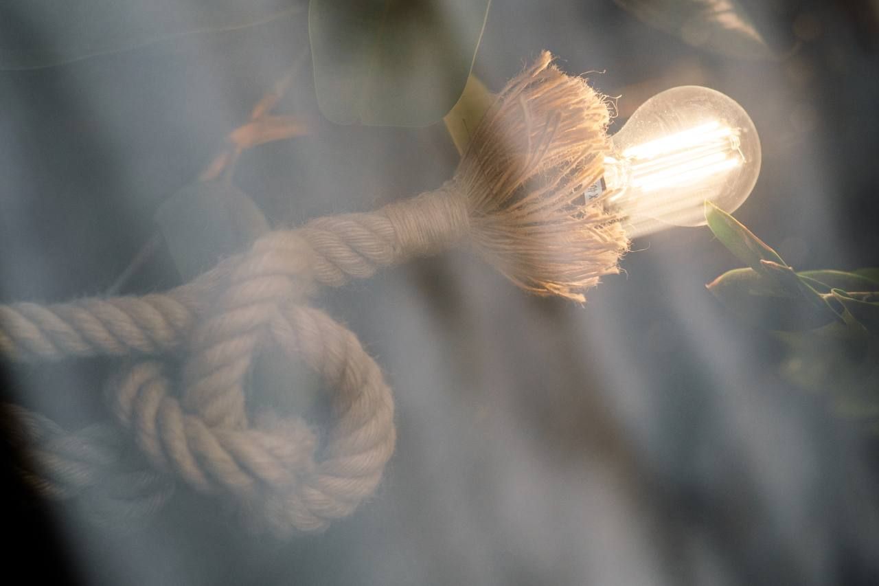 Which organs are responsible for an erection?