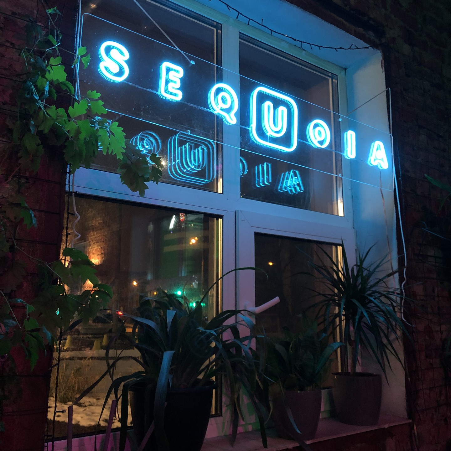 Sequoia's Year in Review: A Year of Achievements and Growth