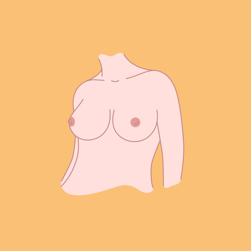 Archetypal Breast