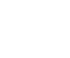 Alpha Starup at Web Summit