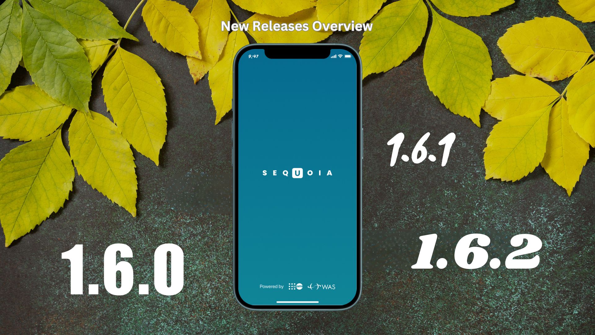 Sequoia 1.6.0, 1.6.1 и 1.6.2