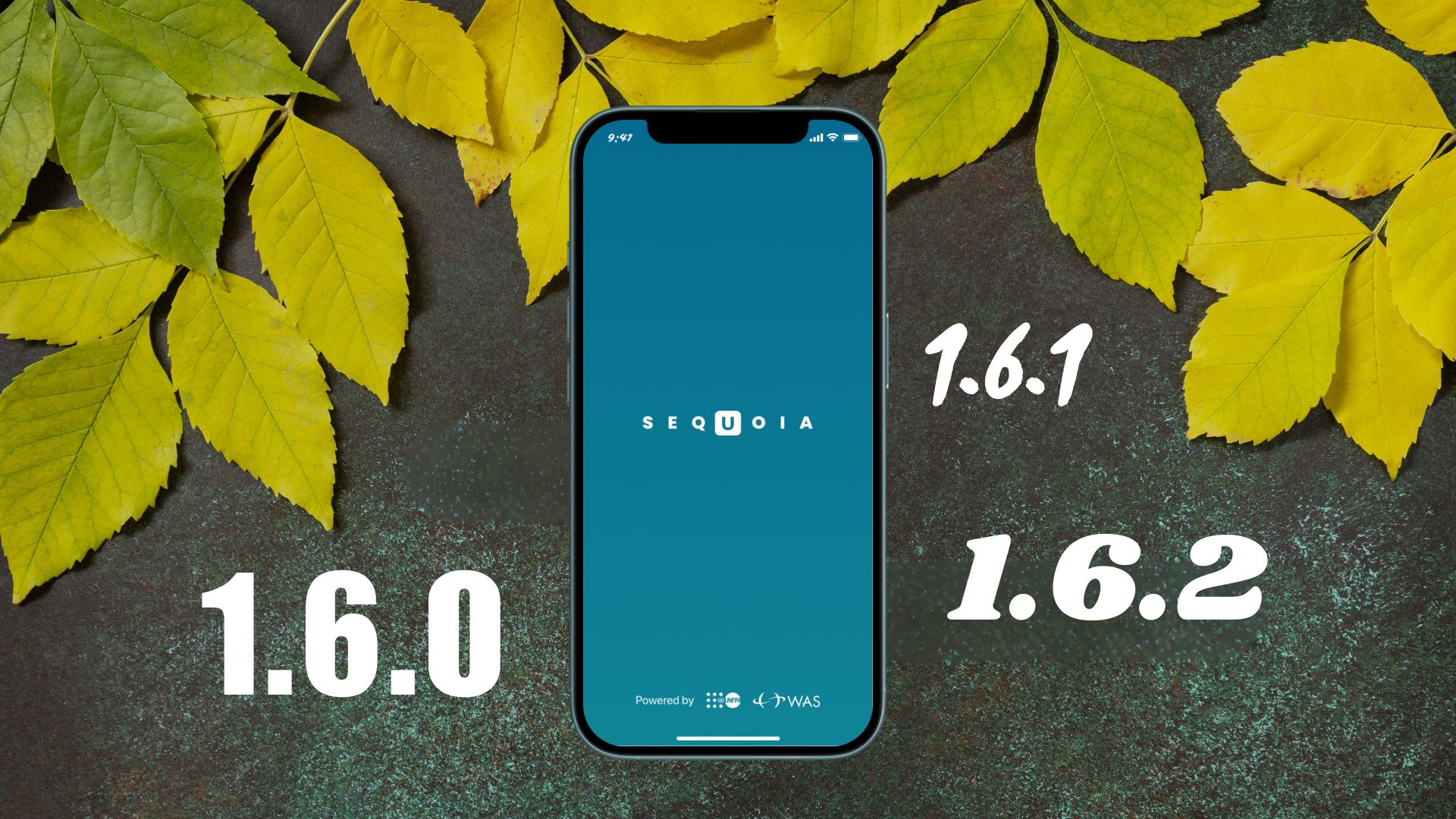 Sequoia 1.6.0, 1.6.1 и 1.6.2