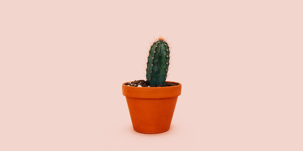 Why do problems with erection appear?