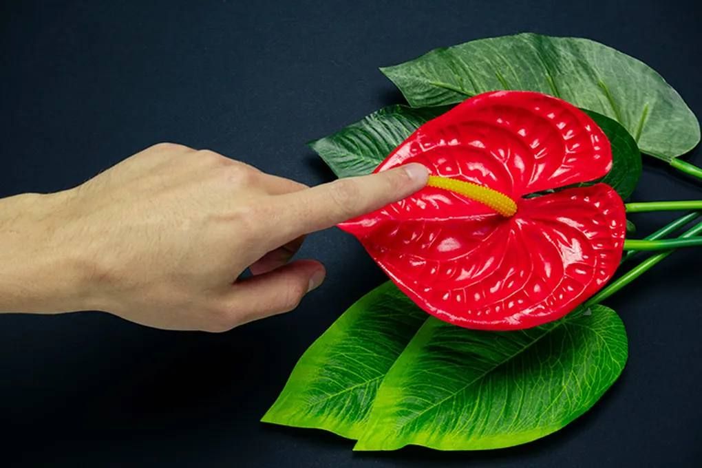 pornografia durante o sexo