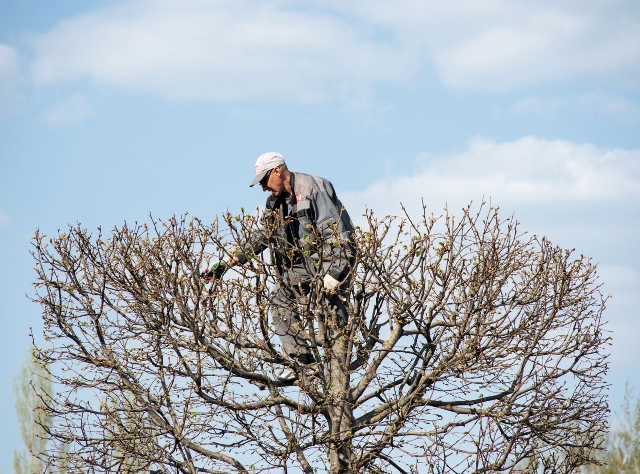 Грусть-печаль
